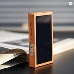 FiiO SK-M21 Leatherette Case | Fiio.eu
